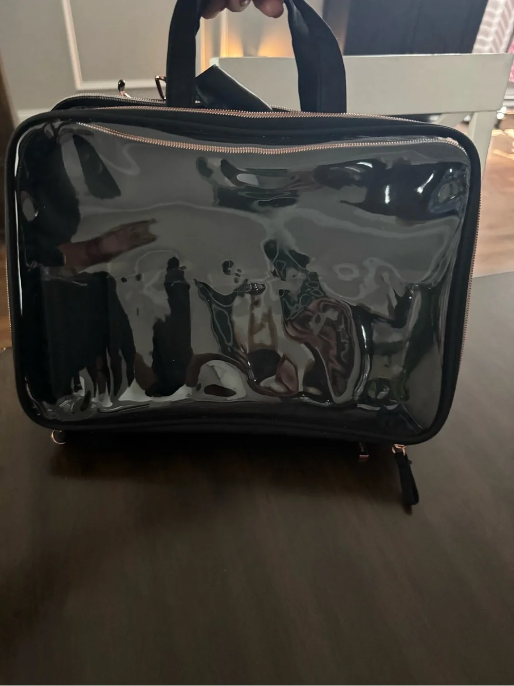 Clear Black Cosmetic Train Case with Rose Gold Zippers - Unbranded